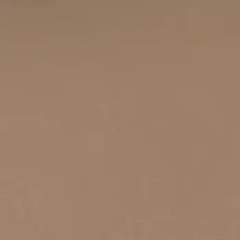 Preview: Vorwerk Bingo Teppichboden Farbe 8L93 – Raumansicht mit Struktur und Farbton